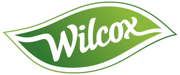 Wilcox